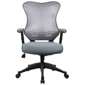 כסא משרדי ארגונומי אורתופדי מתכוונן דגם Proback 1000 מבית Fizzio - צבע אפור