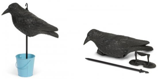 דחליל עורב להרחקת ציפורים Greenplace