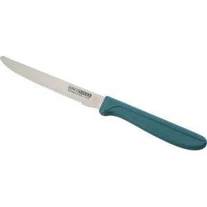 סכין פרו סנדוויץ' 11 ס״מ Arcosteel טורקיז