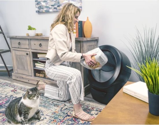 ׊×ר×ת×× ×¨××××××× ××ת×××× Litter-Robot 4 Open Air ׊××ר