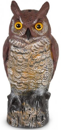 הדחליל המבהיל - ינשוף Greenplace