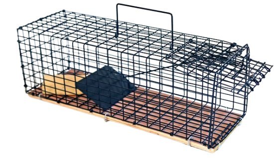 מלכודת פלדה הומנית נגד עכברים וחולדות Black Mamba מבית Greenplace