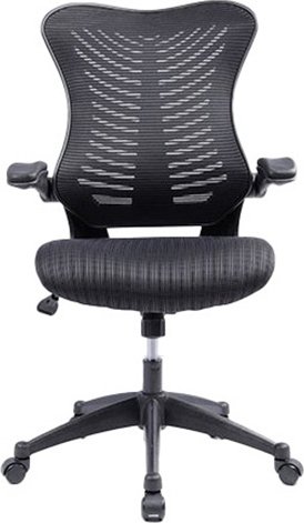 כסא מחשב ארגונומי אורתופדי מתכוונן דגם Proback 150 מבית Fizzio - צבע שחור